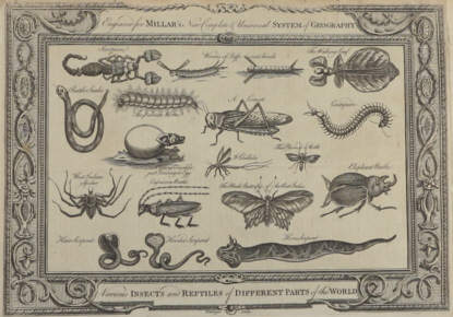 Natural history prints, other artists/publishers